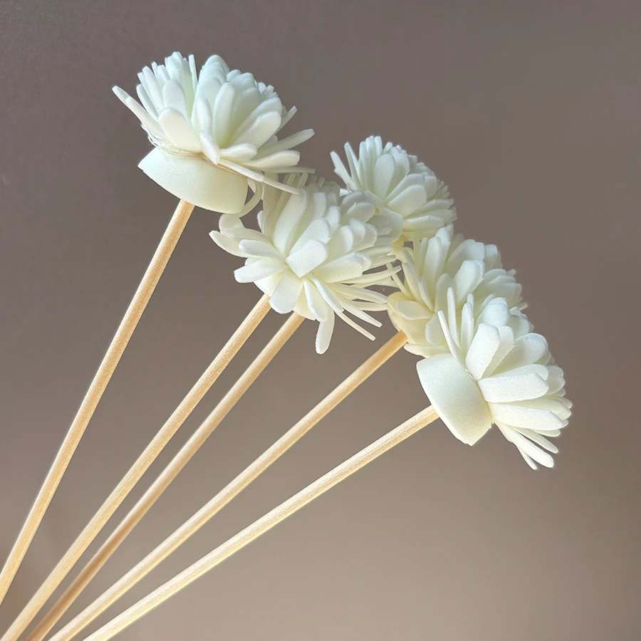 10 Stück Aroma-Diffusor-Stäbch – Aromatherapy Diffuser Bewertung und Preis