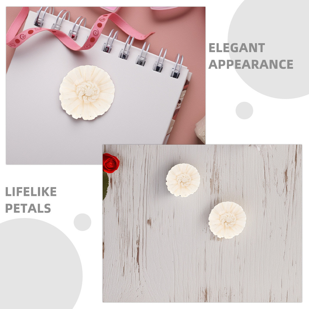 8 Stücke Blumendiffusor Sola C – Aromatherapy Diffuser Bewertung und Preis