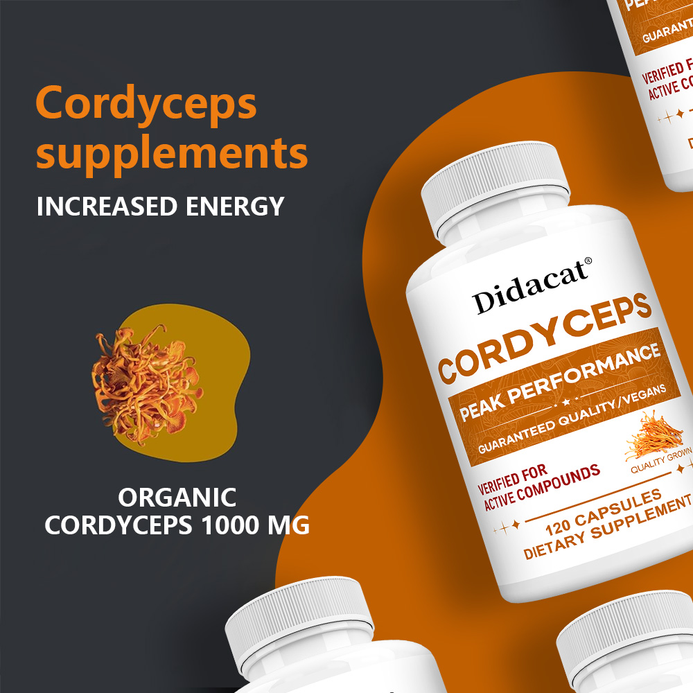 Cordyceps-Pilz-Kapseln 1000mg, – Health With Wellness Bewertung und Preis